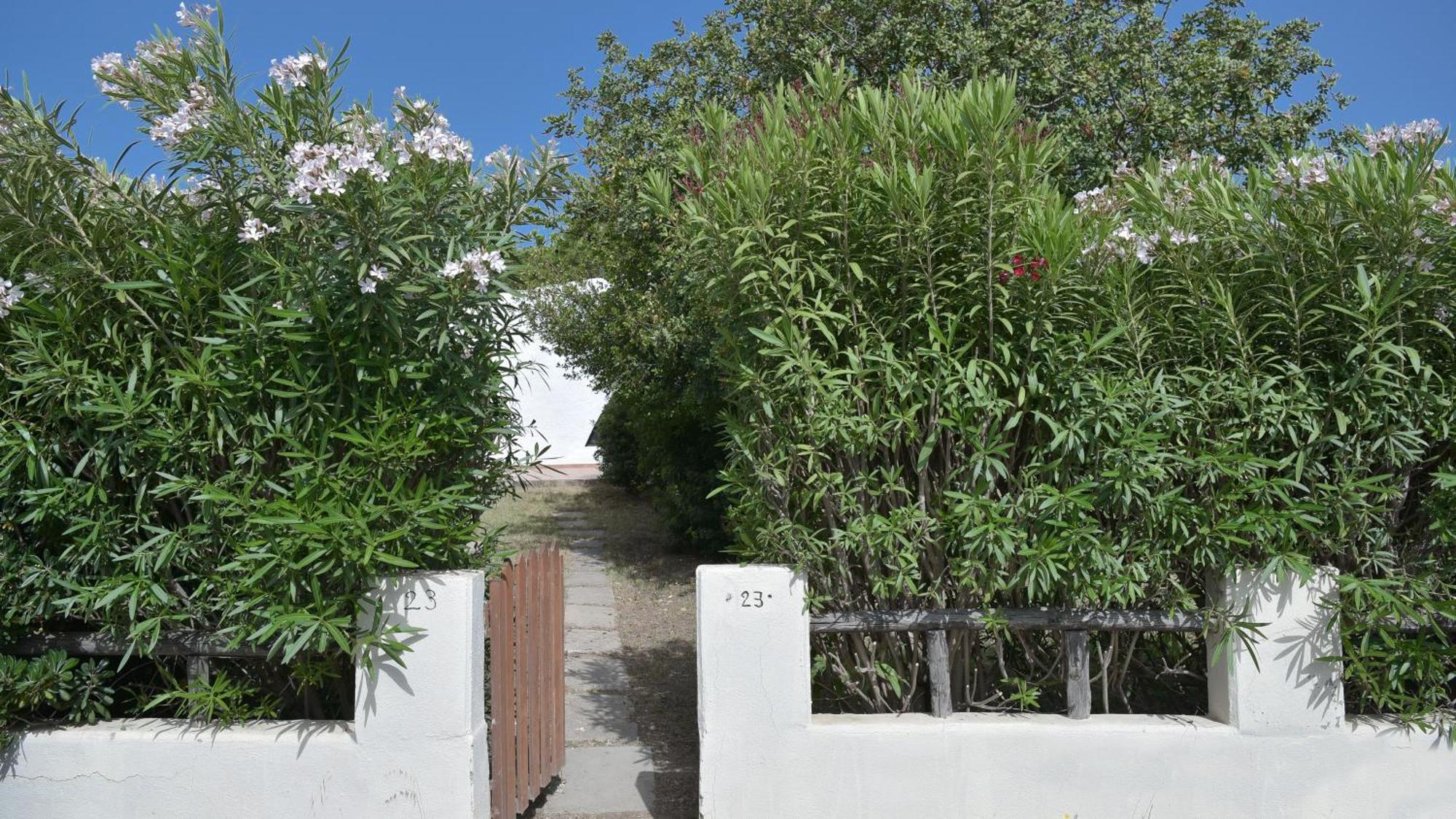 Welcomely - Villa Adele Costa Rei Exteriér fotografie